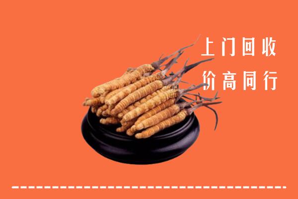 高价求购：合江县回收散虫草